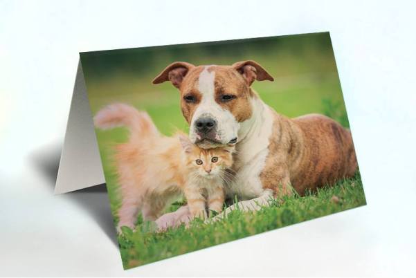 13479872_10209408192860891_277368327_n